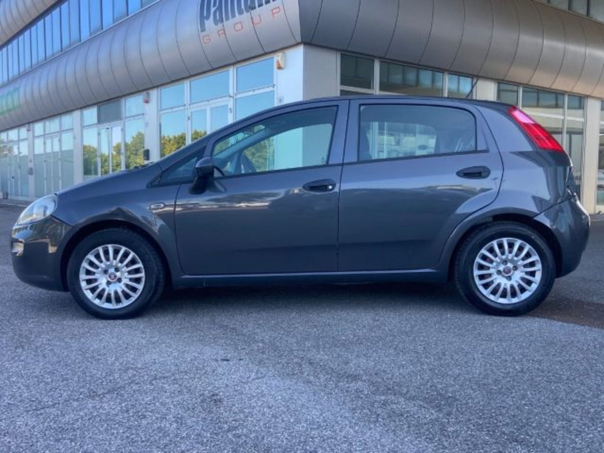 Fiat Punto 1.2 8V 5 porte Street (8)