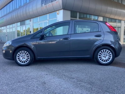 Fiat Punto 1.2 8V 5 porte Street (8)