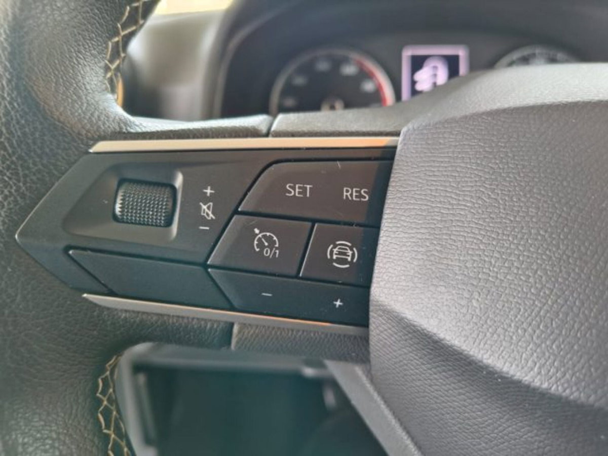 SEAT Ibiza 1.0 TGI 5 porte Business (14)