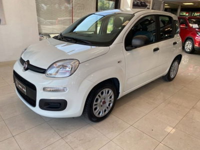 Fiat Panda 1.0 firefly hybrid s&s 70cv 5p.ti (2)