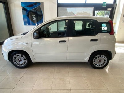 Fiat Panda 1.0 firefly hybrid s&s 70cv 5p.ti (3)