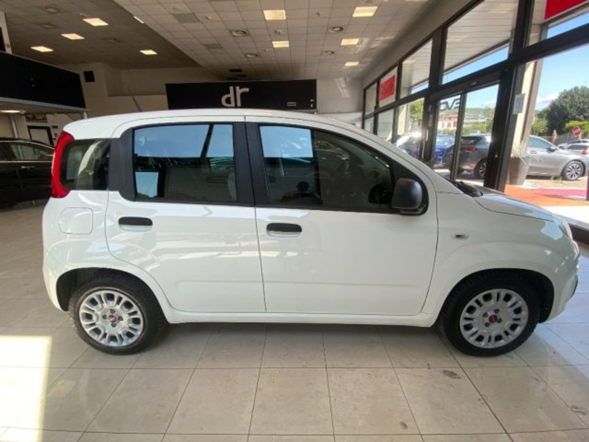 Fiat Panda 1.0 firefly hybrid s&s 70cv 5p.ti (5)