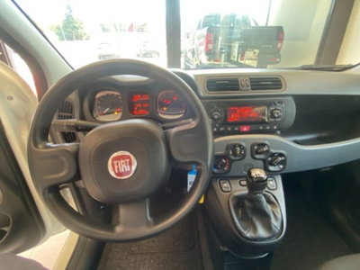 Fiat Panda 1.0 firefly hybrid s&s 70cv 5p.ti (7)