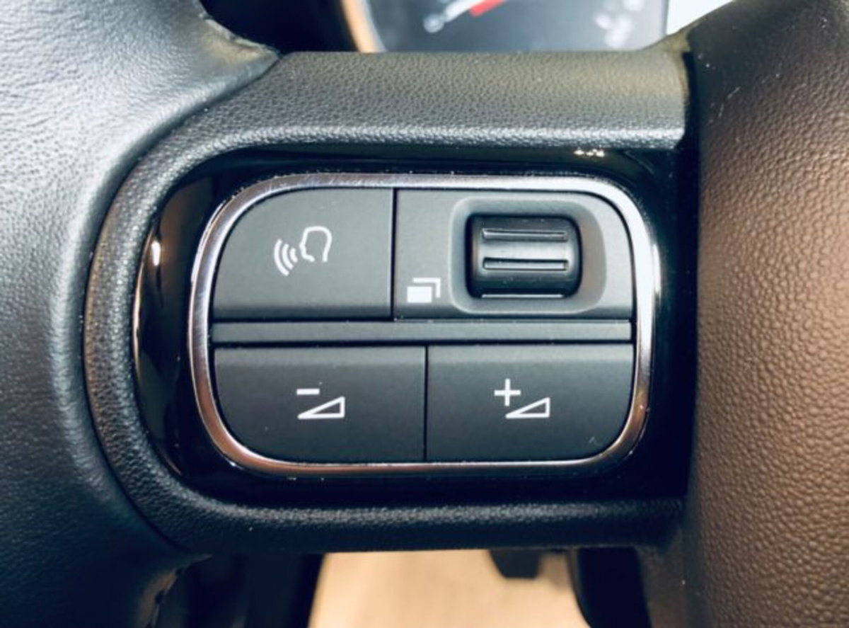 Citroen C3 Aircross 1.2 puretech Max s&s 110cv (11)