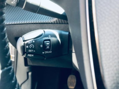 Peugeot 2008 PureTech 100 S&S Active (11)