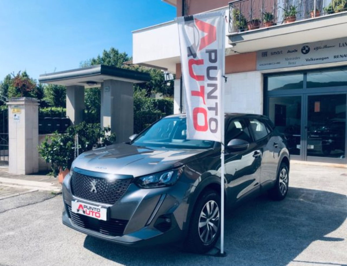 Peugeot 2008 PureTech 100 S&S Active (14)