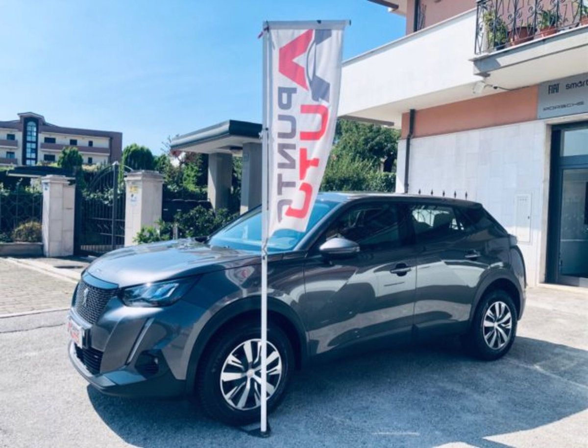 Peugeot 2008 PureTech 100 S&S Active (17)
