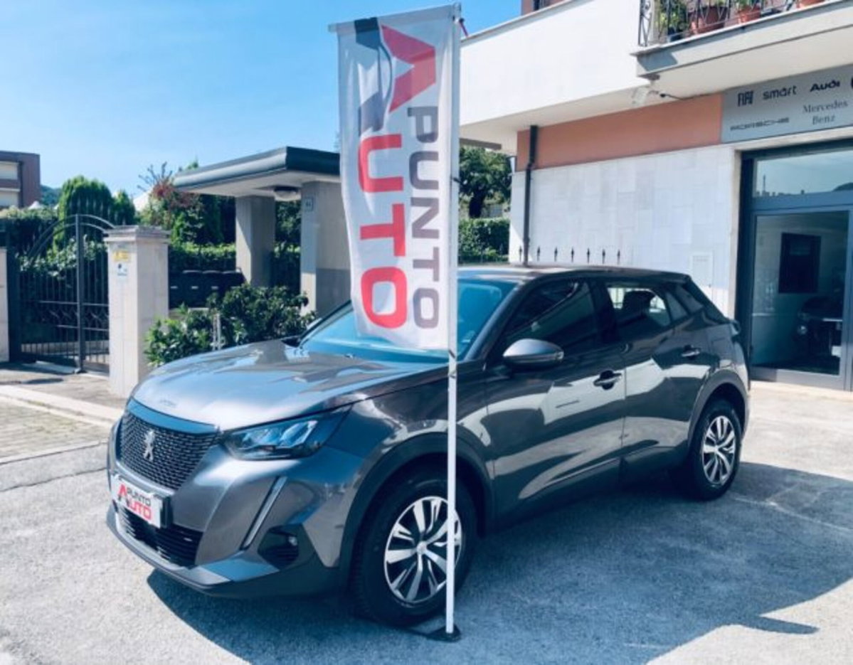 Peugeot 2008 PureTech 100 S&S Active (18)