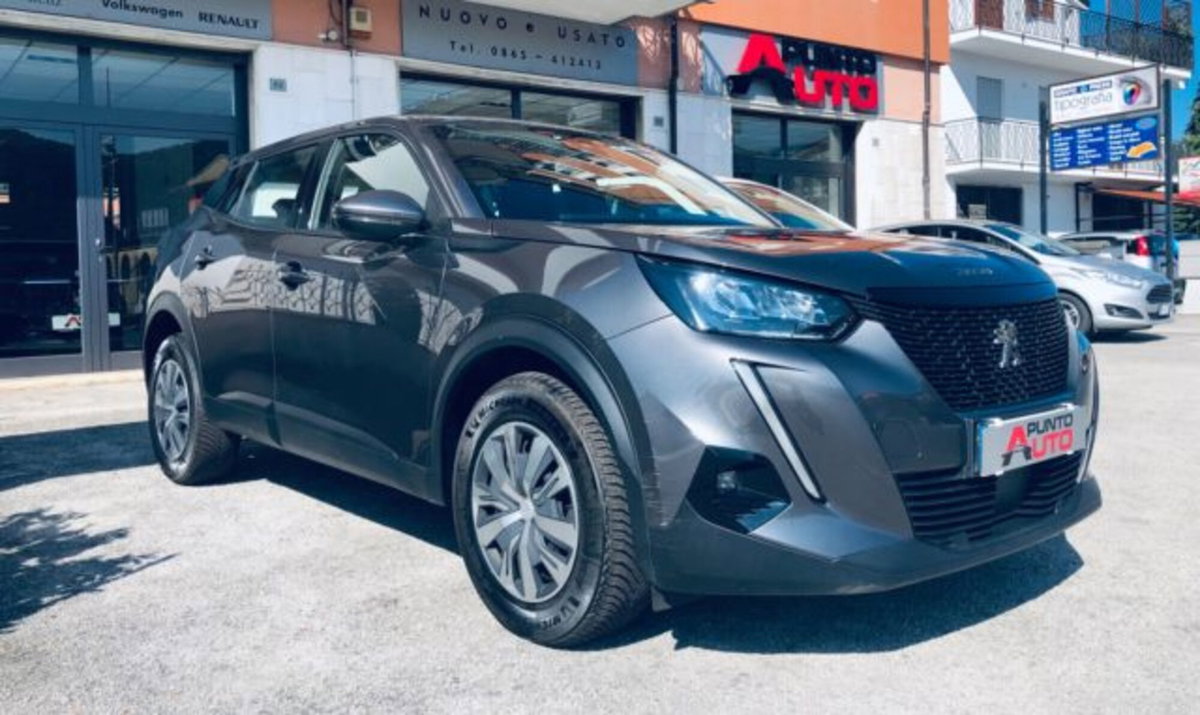 Peugeot 2008 PureTech 100 S&S Active (4)