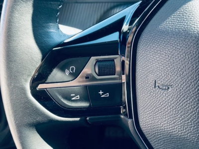 Peugeot 2008 PureTech 100 S&S Active (9)