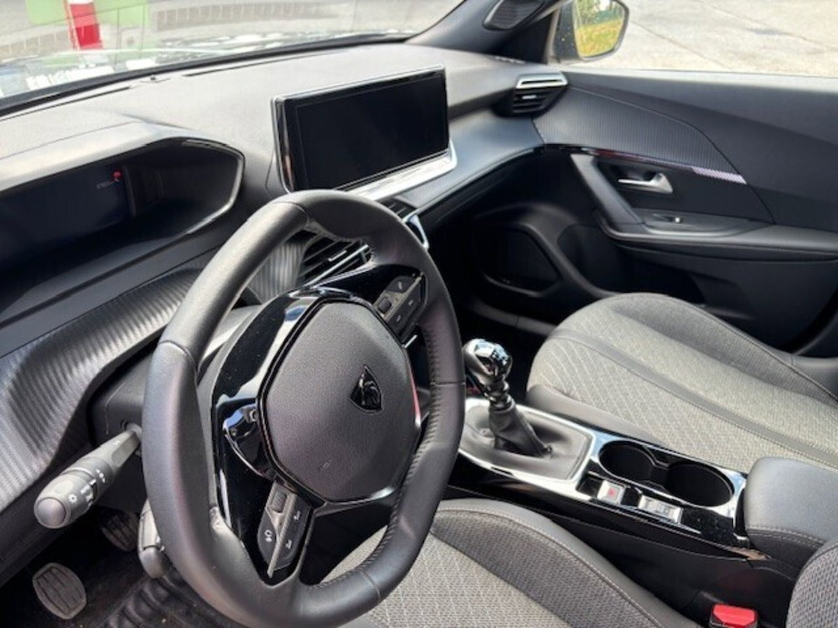 Peugeot 2008 1.2 turbo Allure 100cv (12)