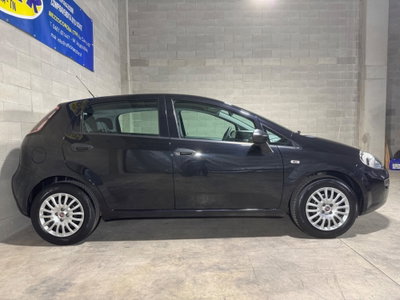 Fiat Punto 1.3 MJT II 75 CV 5 porte Street (4)