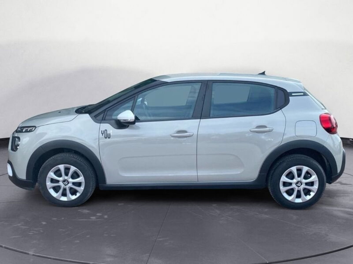 Citroen C3 BlueHDi 100 S&S You (8)