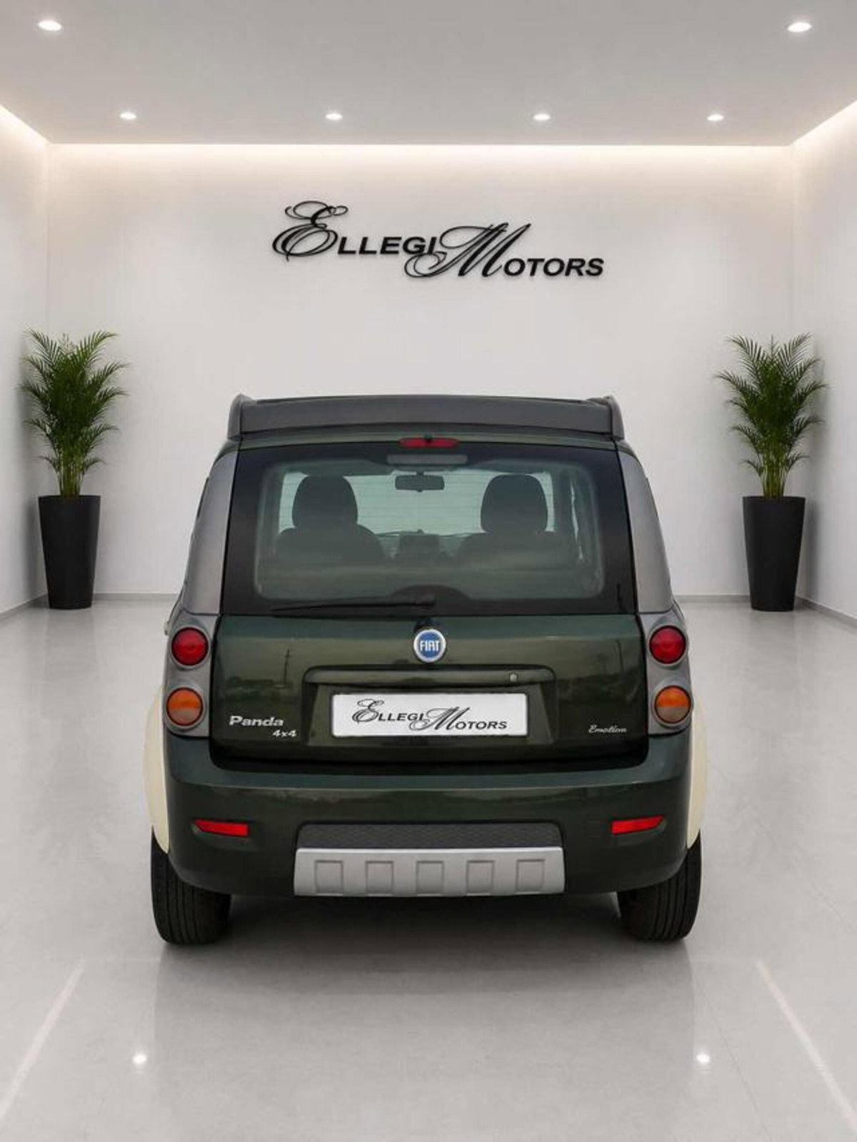 Fiat Panda 1.3 MJT 16V 4x4 Cross (3)