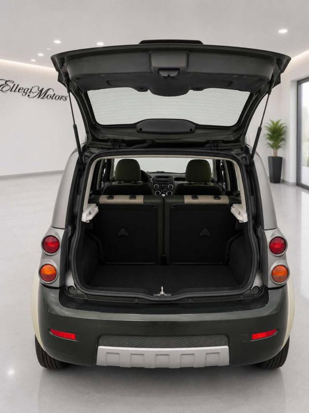 Fiat Panda 1.3 MJT 16V 4x4 Cross (5)