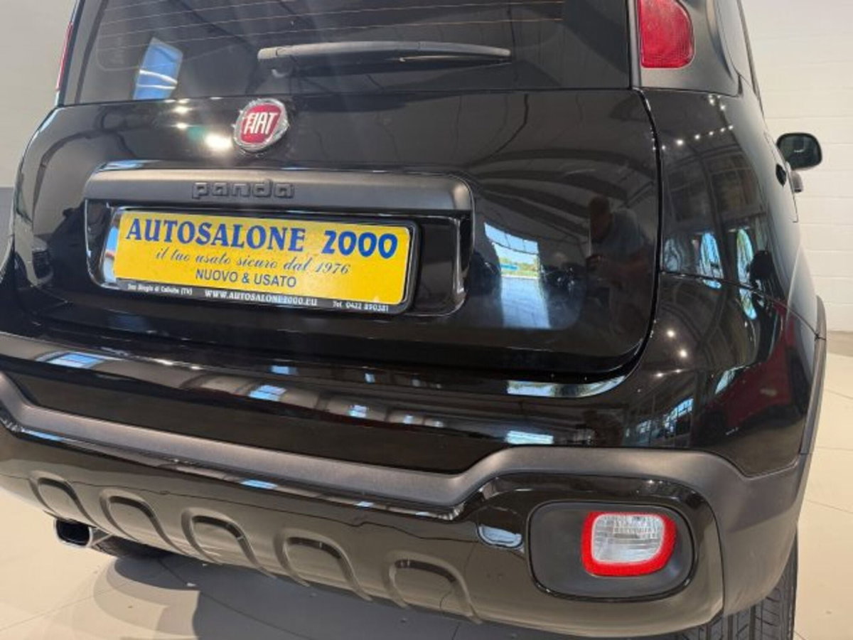 Fiat Panda Cross Cross 0.9 TwinAir Turbo S&S 4x4 (17)