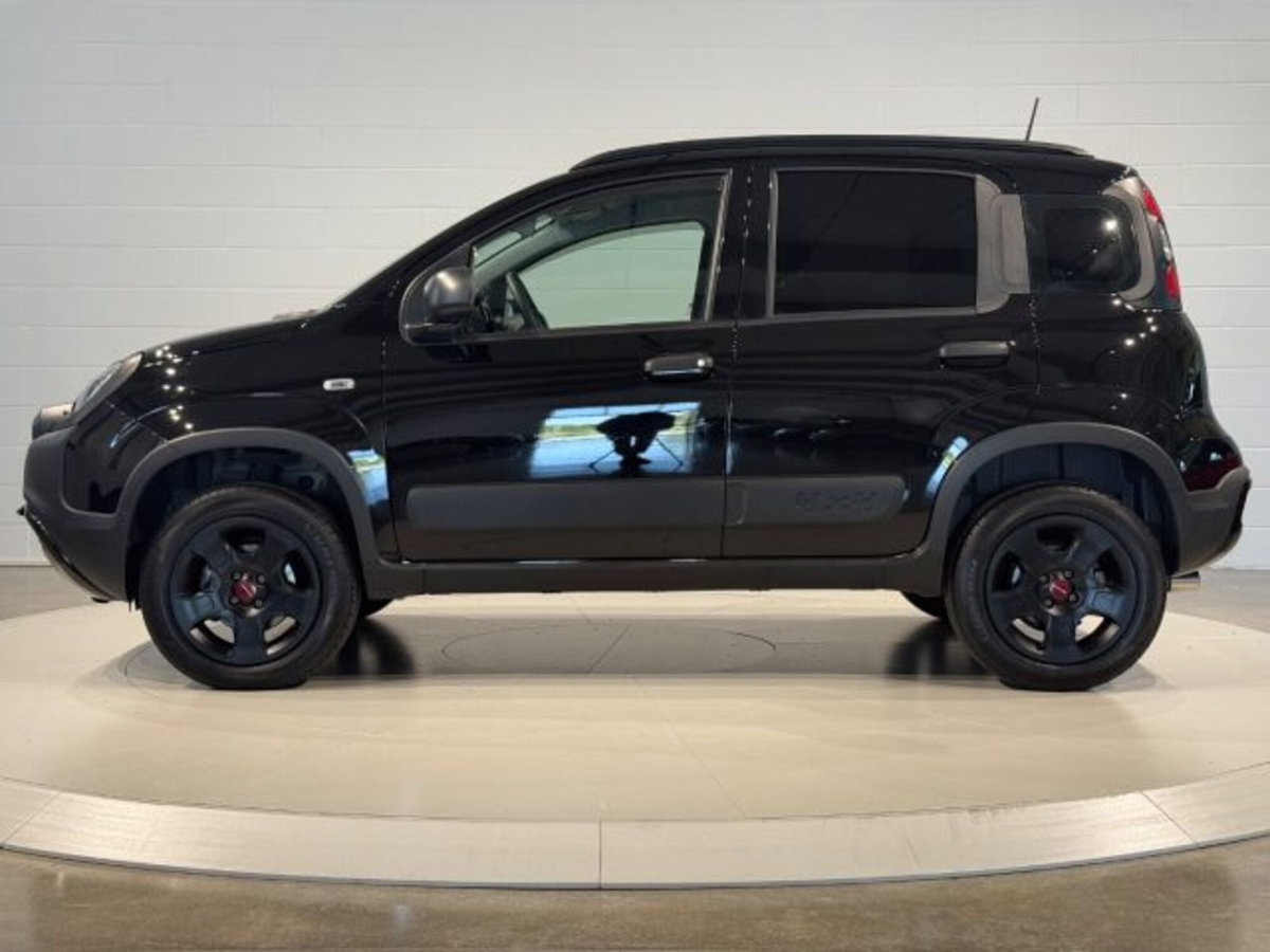 Fiat Panda Cross Cross 0.9 TwinAir Turbo S&S 4x4 (2)