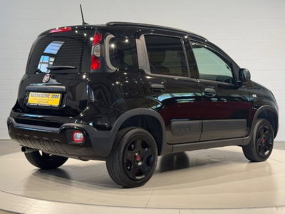 Fiat Panda Cross Cross 0.9 TwinAir Turbo S&S 4x4 (5)