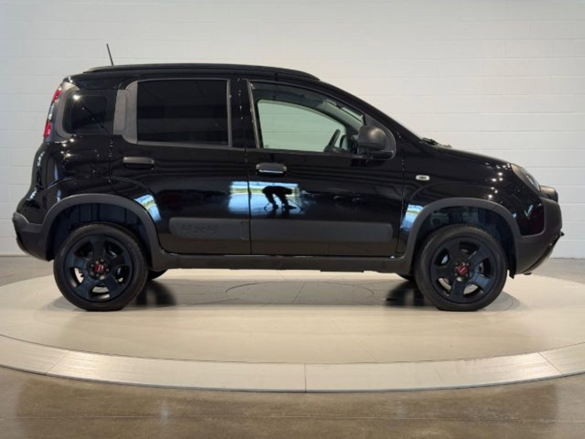 Fiat Panda Cross Cross 0.9 TwinAir Turbo S&S 4x4 (6)