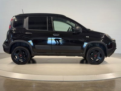 Fiat Panda Cross Cross 0.9 TwinAir Turbo S&S 4x4 (6)
