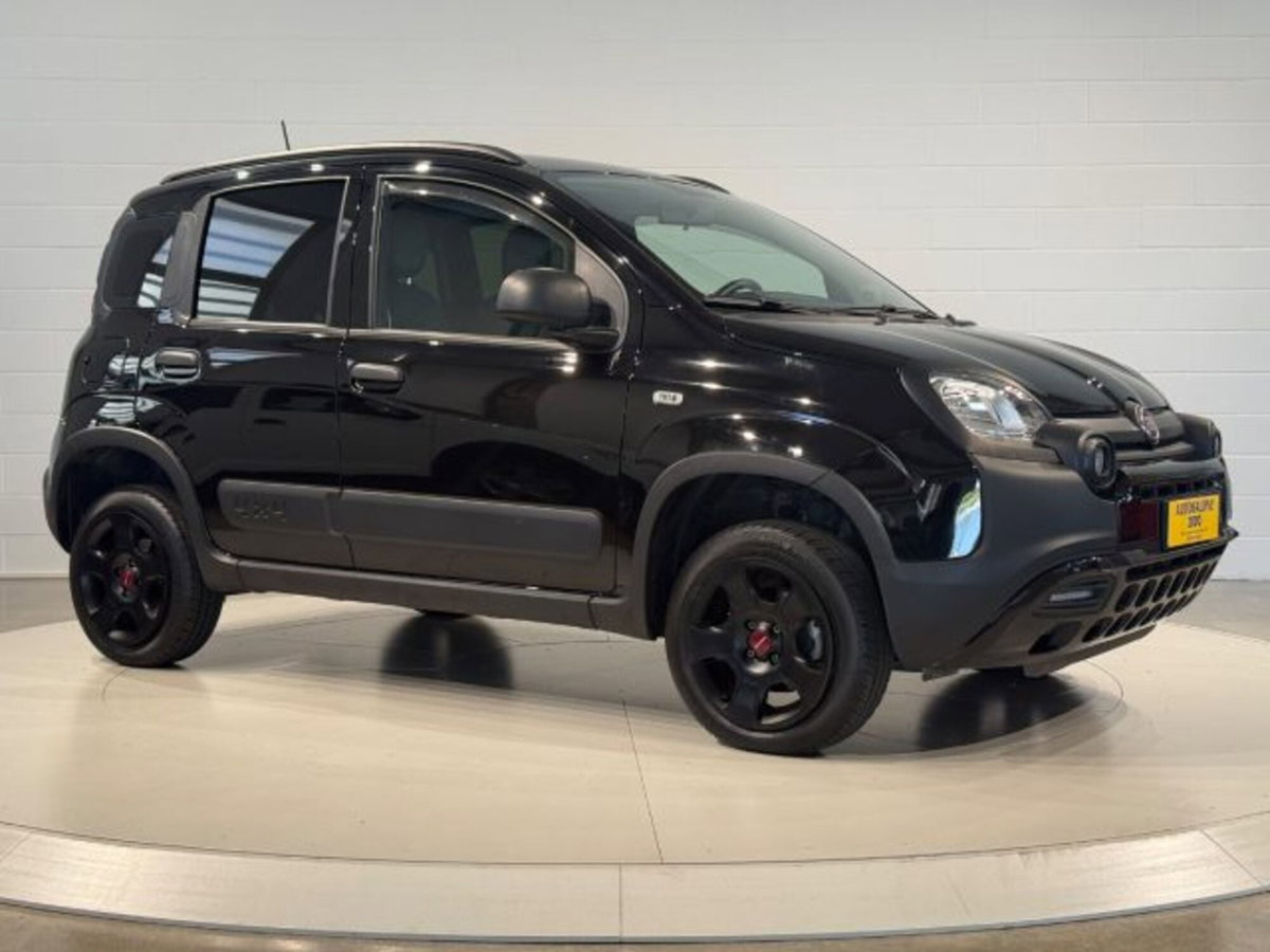 Fiat Panda Cross Cross 0.9 TwinAir Turbo S&S 4x4 (7)