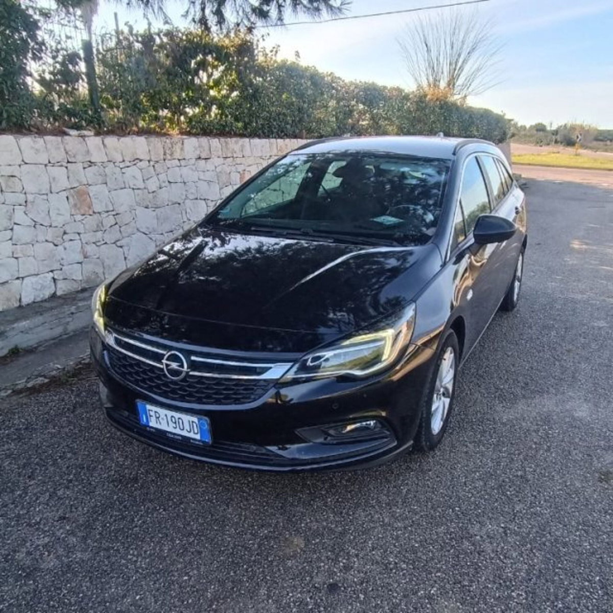 Opel Astra Station Wagon 1.6 CDTi 110CV Start&Stop Sports Business (3)