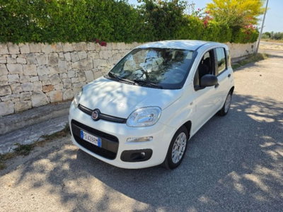 Fiat Panda 1.3 MJT 80 CV S&S Easy (5)