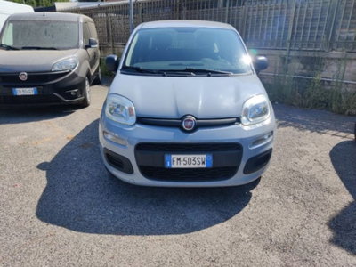 Fiat Panda 1.2 Pop usata