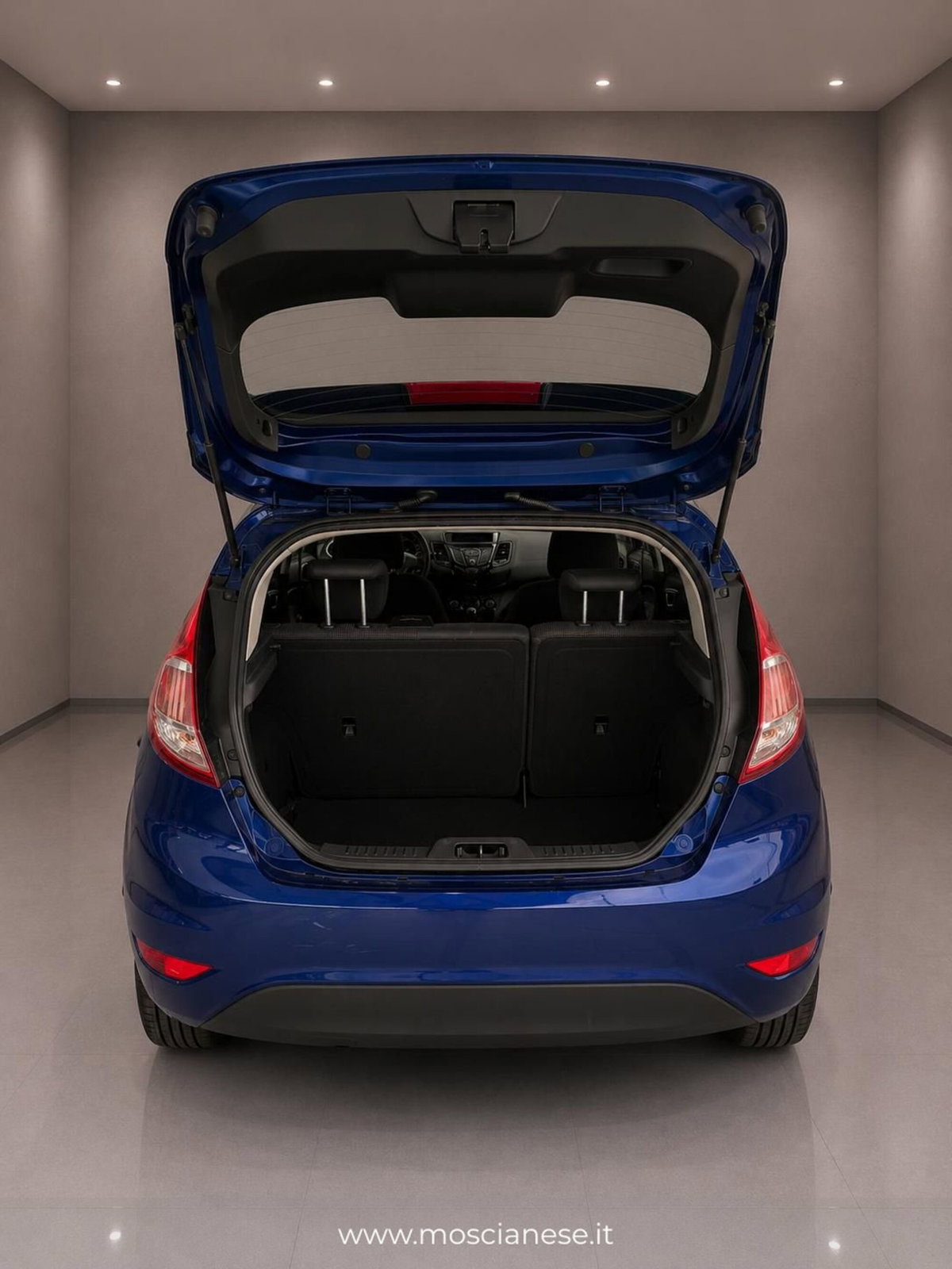Ford Fiesta 1.0 EcoBoost 100CV 3 porte Titanium (5)
