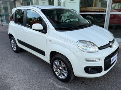 Fiat Panda 1.3 MJT 80 CV S&S 4x4 (2)