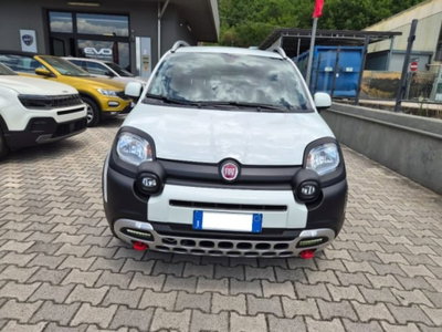 Fiat Panda Cross 1.0 firefly hybrid Cross s&s 70cv 5p.ti usata
