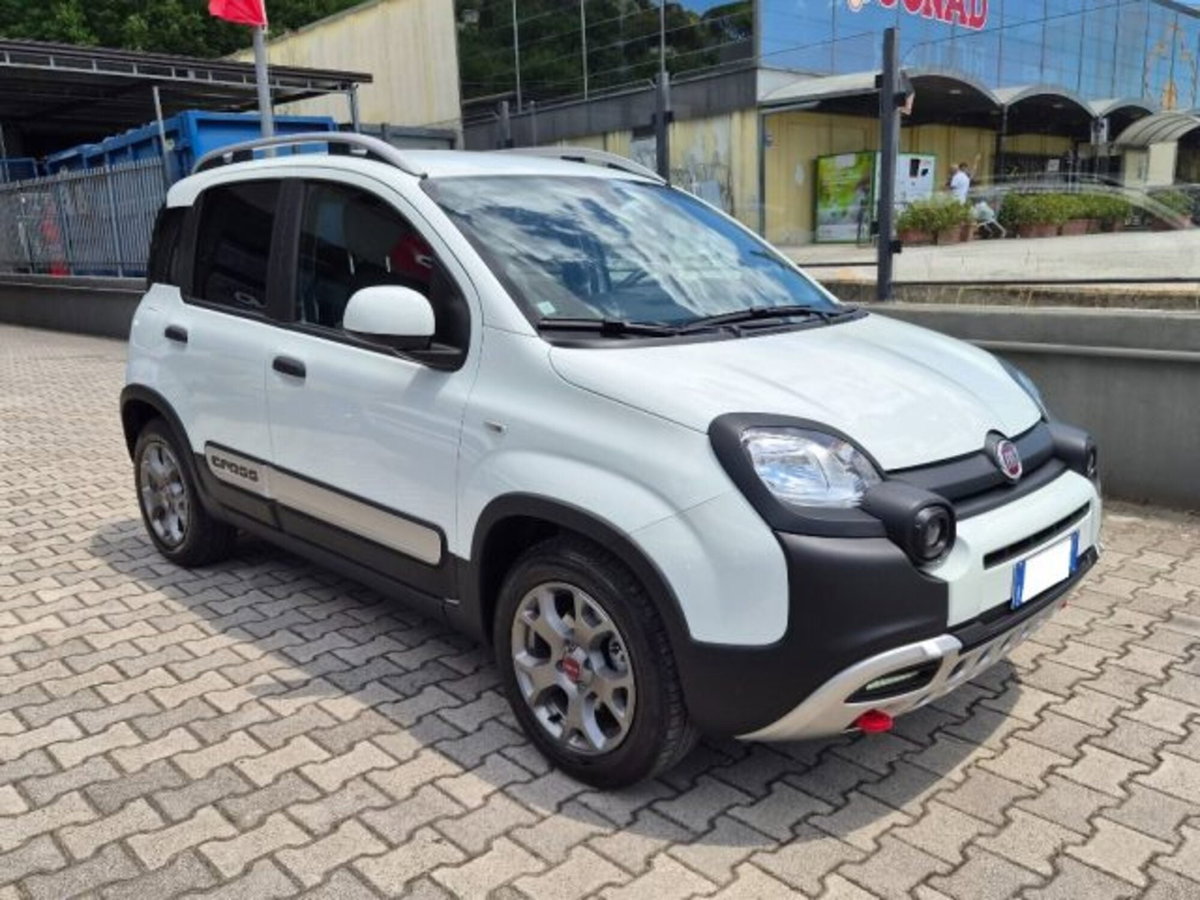 Fiat Panda Cross 1.0 firefly hybrid Cross s&s 70cv 5p.ti (8)