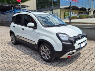 Fiat Panda Cross 1.0 firefly hybrid Cross s&s 70cv 5p.ti (8)