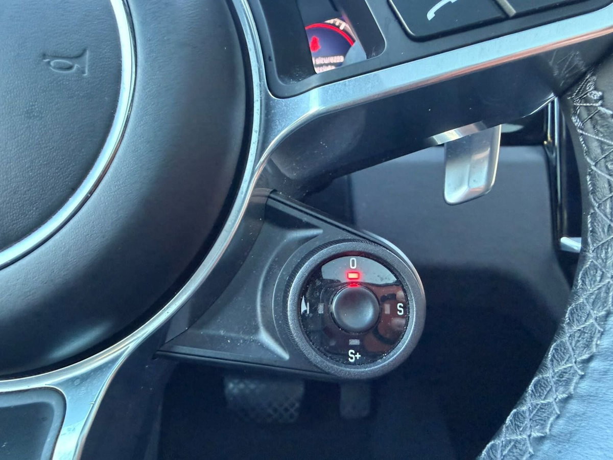 Porsche Cayenne 3.0 V6 Platinum Edition (12)
