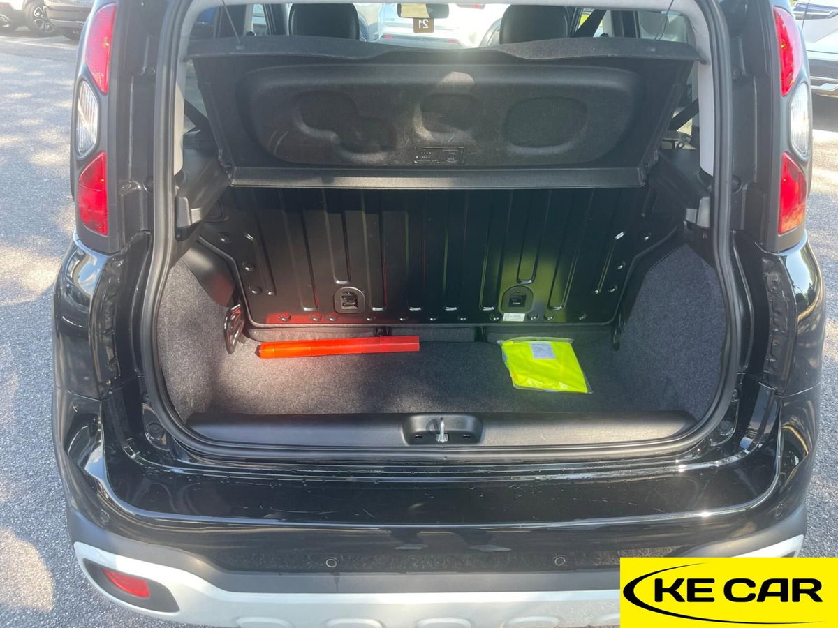 Fiat Panda Cross Cross 1.0 FireFly S&S Hybrid (11)