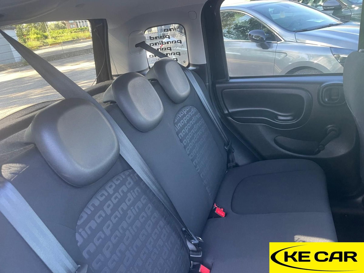 Fiat Panda Cross Cross 1.0 FireFly S&S Hybrid (12)