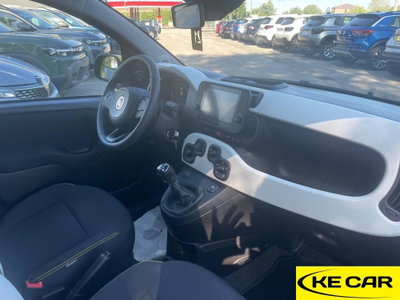 Fiat Panda Cross Cross 1.0 FireFly S&S Hybrid (14)