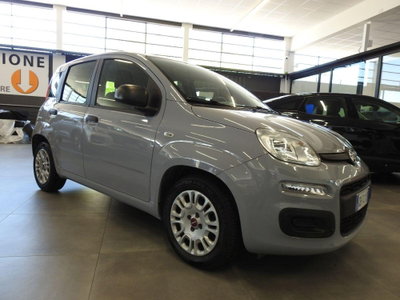 Fiat Panda Cross Cross 1.0 FireFly S&S Hybrid usata