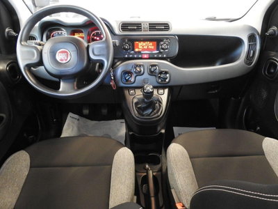 Fiat Panda Cross Cross 1.0 FireFly S&S Hybrid (14)