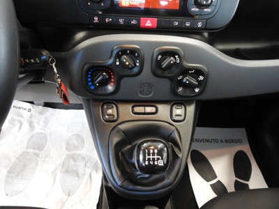 Fiat Panda Cross Cross 1.0 FireFly S&S Hybrid (17)
