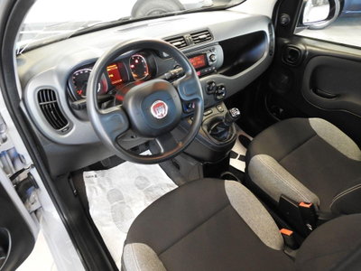Fiat Panda Cross Cross 1.0 FireFly S&S Hybrid (20)