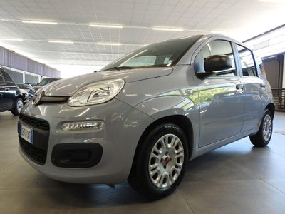 Fiat Panda Cross Cross 1.0 FireFly S&S Hybrid (4)