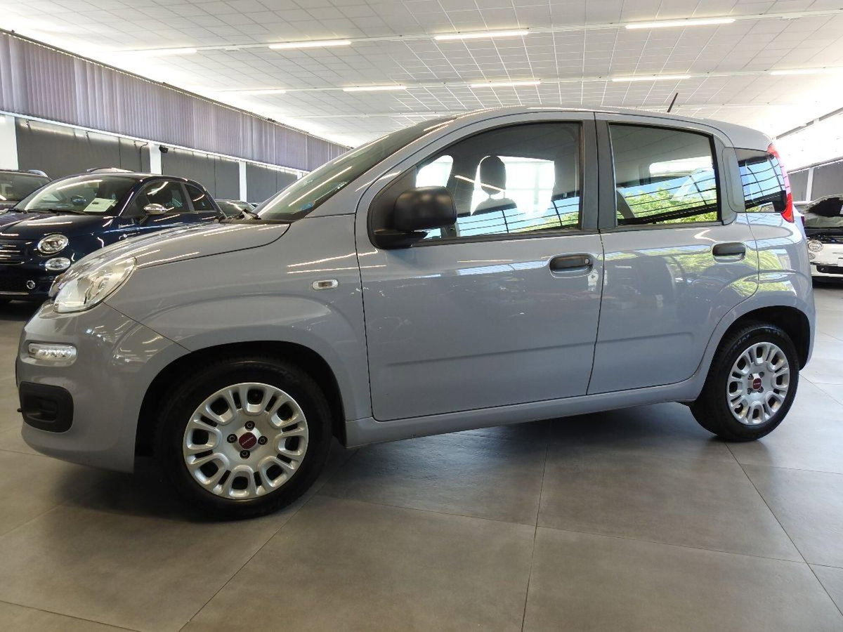 Fiat Panda Cross Cross 1.0 FireFly S&S Hybrid (5)
