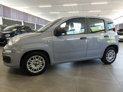 Fiat Panda Cross Cross 1.0 FireFly S&S Hybrid (5)