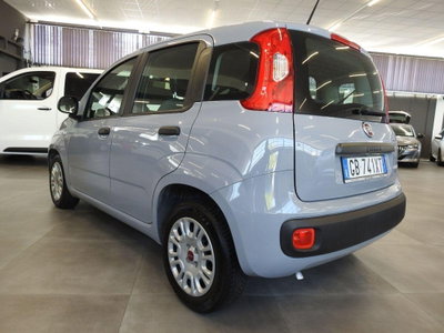 Fiat Panda Cross Cross 1.0 FireFly S&S Hybrid (6)