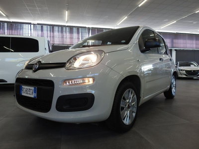 Fiat Panda 1.2 Lounge usata