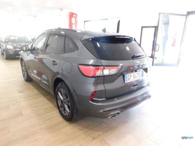 Ford Kuga 2.5 Plug In Hybrid 225 CV CVT 2WD ST-Line (4)