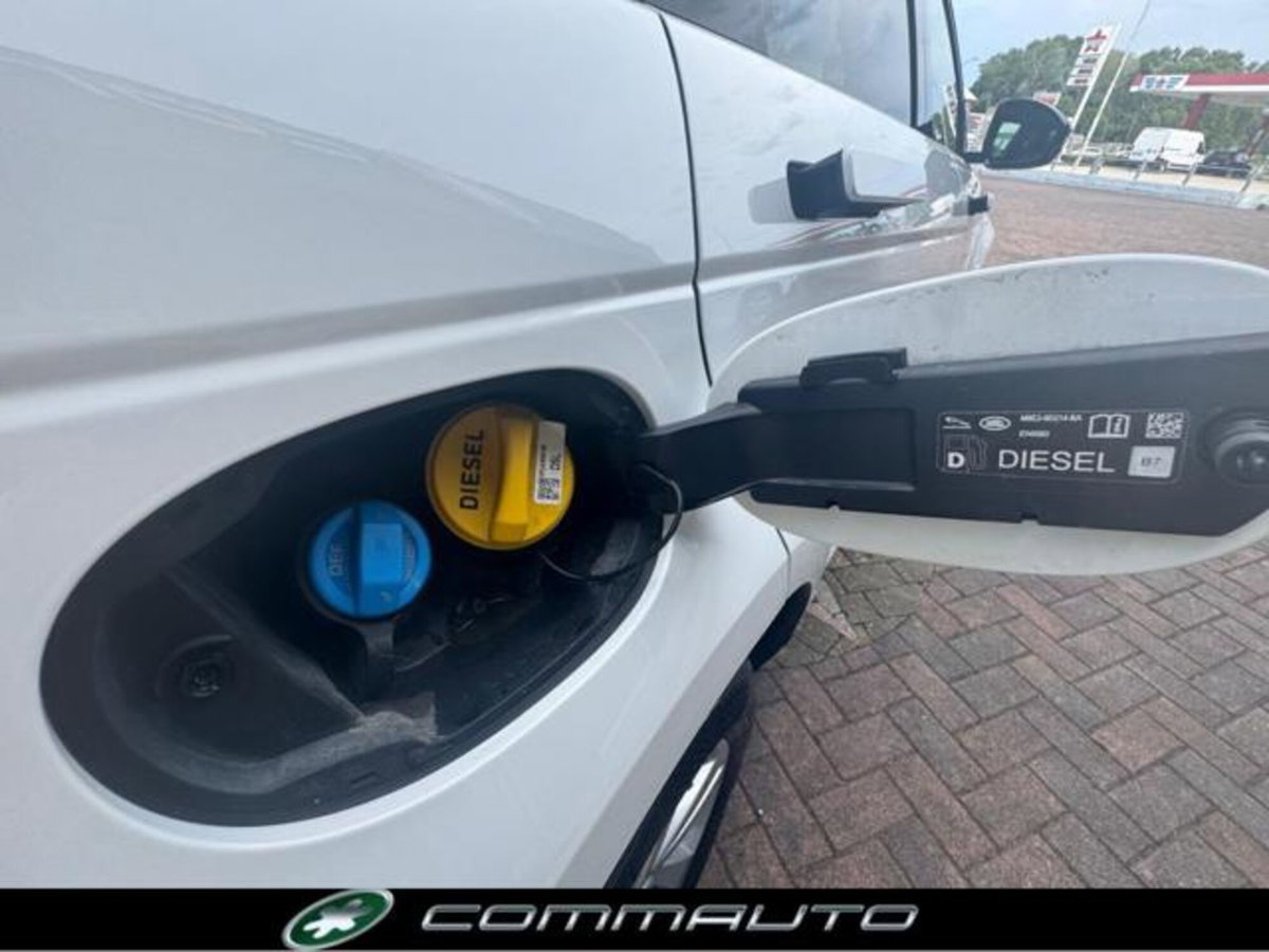 Land Rover Range Rover Evoque 2.0D I4 163 CV AWD Auto R-Dynamic (9)