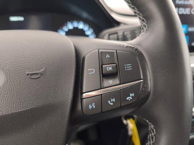 Ford Fiesta 1.0 Ecoboost 125 CV DCT Titanium (15)