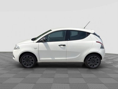Lancia Ypsilon 1.2 69 CV 5 porte Elefantino Blu (2)